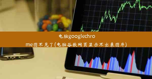 电脑googlechrome图不见了(电脑谷歌网页显示不出来图片)