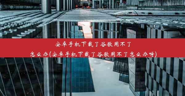 安卓手机下载了谷歌用不了怎么办(安卓手机下载了谷歌用不了怎么办呀)