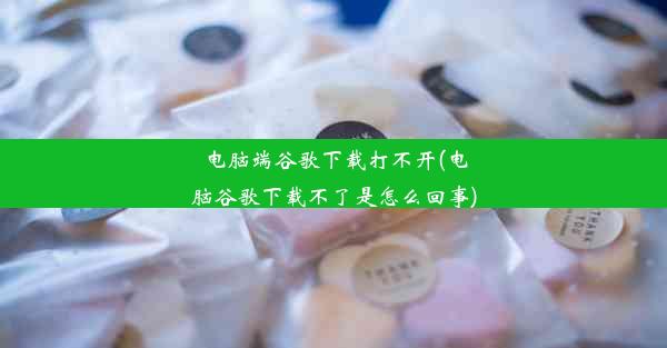 电脑端谷歌下载打不开(电脑谷歌下载不了是怎么回事)