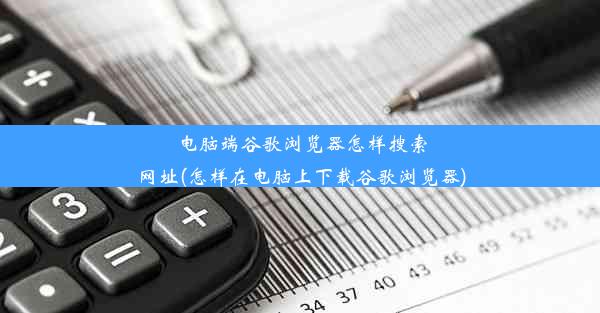 电脑端谷歌浏览器怎样搜索网址(怎样在电脑上下载谷歌浏览器)