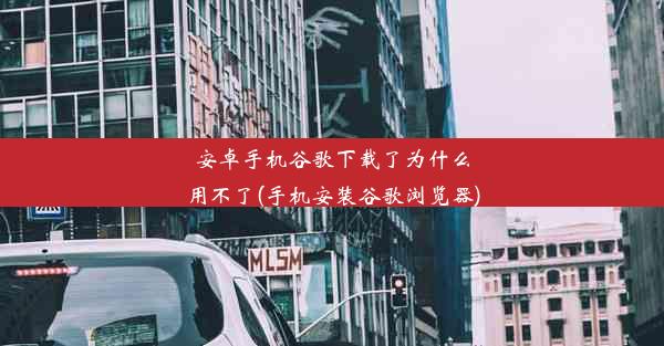 安卓手机谷歌下载了为什么用不了(手机安装谷歌浏览器)