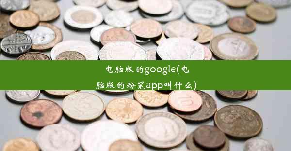 电脑版的google(电脑版的粉笔app叫什么)