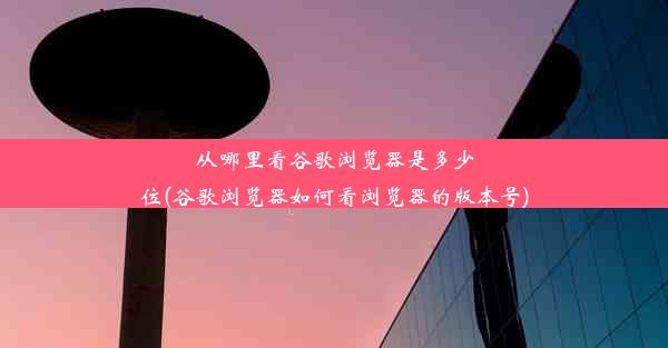 从哪里看谷歌浏览器是多少位(谷歌浏览器如何看浏览器的版本号)