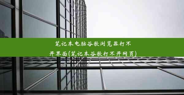 笔记本电脑谷歌浏览器打不开界面(笔记本谷歌打不开网页)