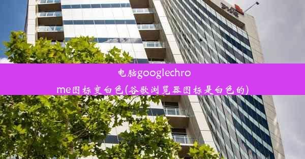 电脑googlechrome图标变白色(谷歌浏览器图标是白色的)