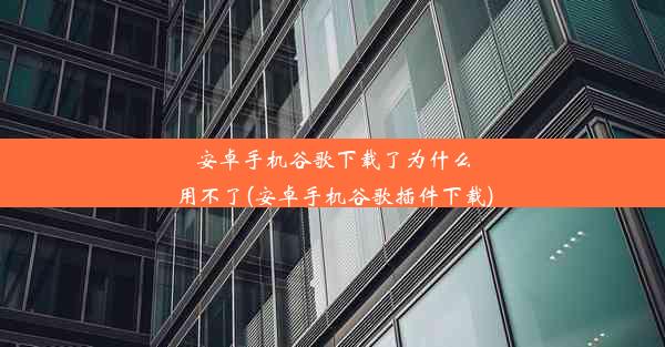 安卓手机谷歌下载了为什么用不了(安卓手机谷歌插件下载)