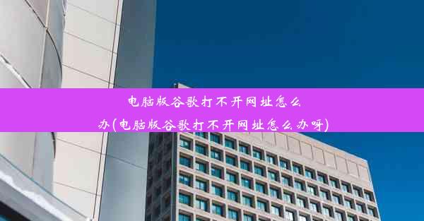 电脑版谷歌打不开网址怎么办(电脑版谷歌打不开网址怎么办呀)