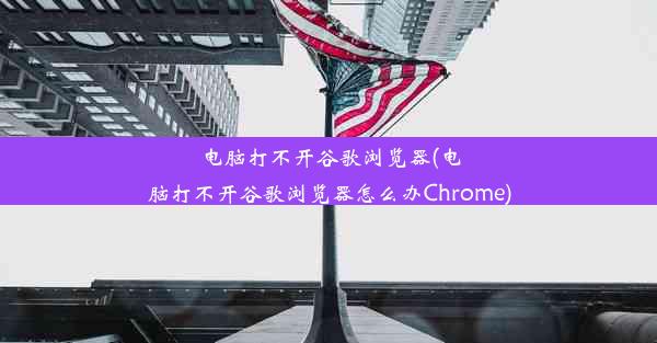 电脑打不开谷歌浏览器(电脑打不开谷歌浏览器怎么办Chrome)