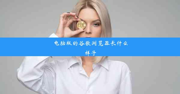 电脑版的谷歌浏览器长什么样子