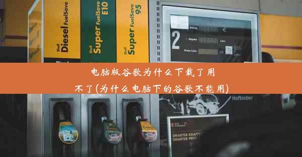 电脑版谷歌为什么下载了用不了(为什么电脑下的谷歌不能用)