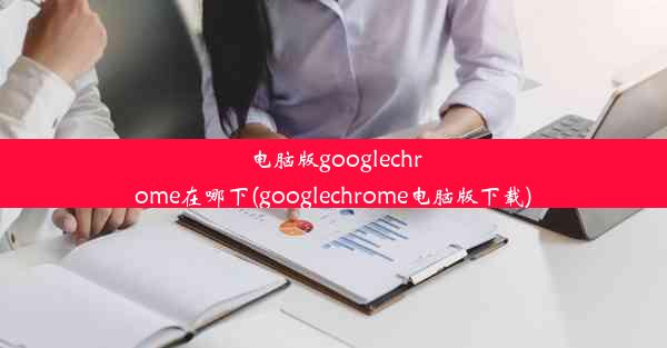 电脑版googlechrome在哪下(googlechrome电脑版下载)