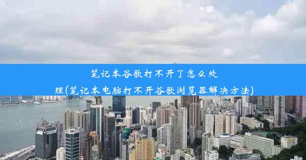 笔记本谷歌打不开了怎么处理(笔记本电脑打不开谷歌浏览器解决方法)