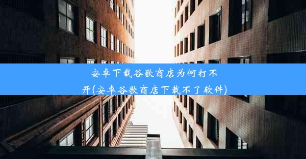 安卓下载谷歌商店为何打不开(安卓谷歌商店下载不了软件)