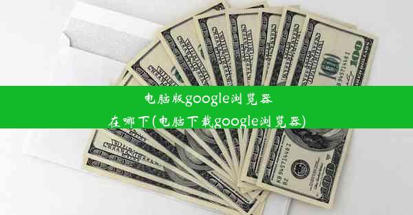 电脑版google浏览器在哪下(电脑下载google浏览器)