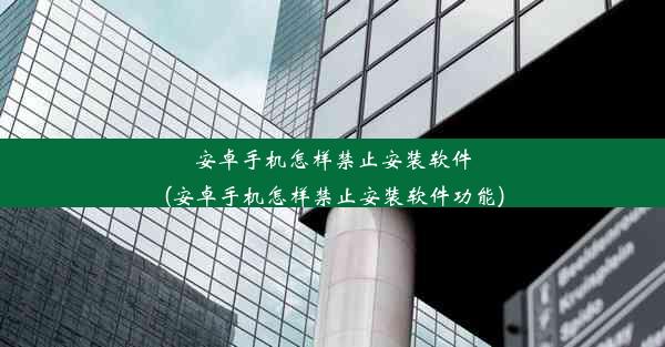 安卓手机怎样禁止安装软件(安卓手机怎样禁止安装软件功能)