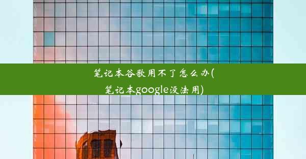 笔记本谷歌用不了怎么办(笔记本google没法用)