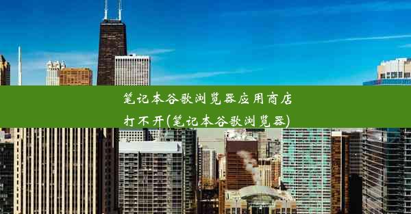 笔记本谷歌浏览器应用商店打不开(笔记本谷歌浏览器)