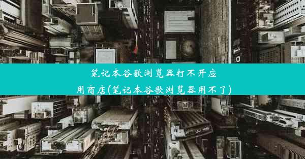 笔记本谷歌浏览器打不开应用商店(笔记本谷歌浏览器用不了)