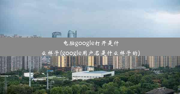 电脑google打开是什么样子(google用户名是什么样子的)