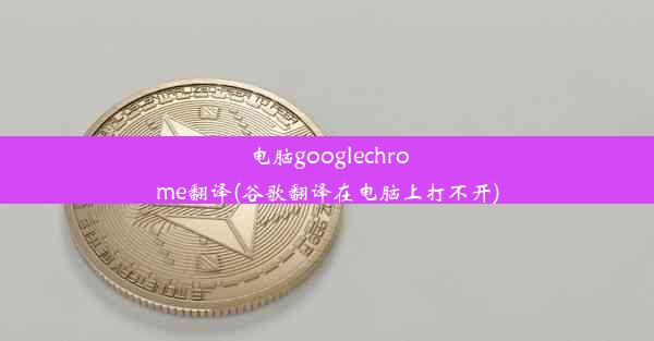 电脑googlechrome翻译(谷歌翻译在电脑上打不开)