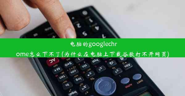 电脑的googlechrome怎么下不了(为什么在电脑上下载谷歌打不开网页)